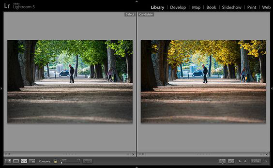 مقایسه دو تصویر در اپلیکیشن Adobe Photoshop Lightroom
